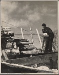Farmer unloading pulpwood. Coos County, New Hampshire. 1936