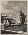 Farmer unloading pulpwood. Coos County, New Hampshire. 1936