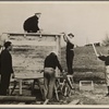 Carpenters building shelter. Berwyn project, [Greenbelt,] Maryland.