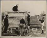 Carpenters building shelter. Berwyn project, [Greenbelt,] Maryland.