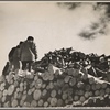 Pulpwood. Coos County, New Hampshire. 1936
