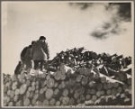 Pulpwood. Coos County, New Hampshire. 1936
