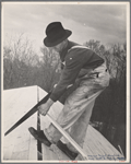 Carpenter working on the roof of the first shelter near the lake site of the Berwyn project, [Greenbelt,] Maryland.