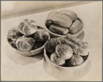 Automat rolls promotional photo
