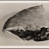 Automat pie promotional photo