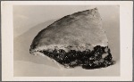 Automat pie promotional photo