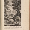 Guillot, sur l'arbre