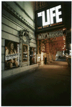 The life (musical), (Coleman), Ethel Barrymore Theatre (1997)
