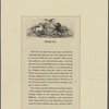 Engraving
