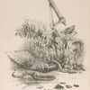 Frontispiece