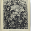 Bulimus, oyolostoma, and other tropical snails
