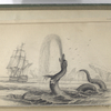 The Great Sea Serpent (according to Hans Egede).