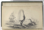 The Great Sea Serpent (according to Hans Egede).