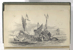 The Kraken supposed a Sepia or Cuttle Fish.