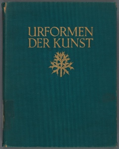 Urformen der Kunst : photographische Pflanzenbilder