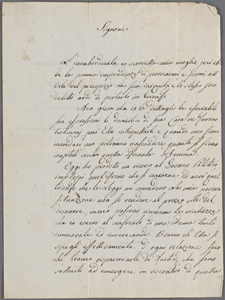 Andrea Magnarotto manuscript material : 2 items