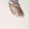 Asiatic Nuthatch 
