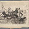 Mine oysters - Dredging boats in the Chesapeake
