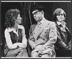 Joan Hackett, David Brooks and Don Scardino in the stage production Park