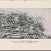 Hotel Majestic