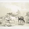 Cows, sheep, and a woman (a drover?) riding a donkey.