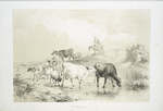 Cows, sheep, and a woman (a drover?) riding a donkey.
