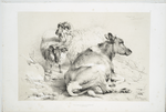 Cow and sheep.