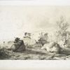 Group of cattle.