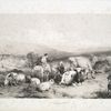 Shepherd and woman in a landscape with cows, sheep and goats.