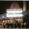 You're a good man Charlie Brown (Musical ), Ambassador Theater (1999).