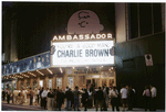 You're a good man Charlie Brown (Musical ), Ambassador Theater (1999).