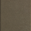 Holograph notes in a copy of Herodotus