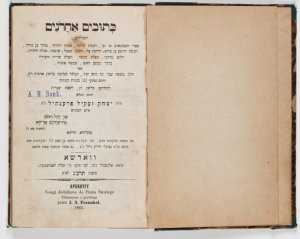 Ketuvim aḥaronim 