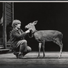 Steve Sanders and animal actor [fawn] in the stage production of The Yearling