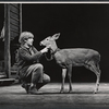 Steve Sanders and animal actor [fawn] in the stage production The Yearling