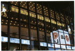 Saturday night fever (musical), (Bee Gees), Minskoff Theater (2000).