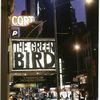 The green bird (Gozzi), Cort Theatre (2001).