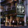 The green bird (Gozzi), Cort Theatre (2001).