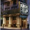 The green bird (Gozzi), Cort Theatre (2001).