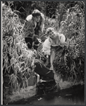 Sam Waterston and Alix Elias in the New York Shakespeare Festival stage production As You Like It