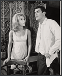 Joan van Ark and Joel Crothers in the stage production Barefoot in the Park