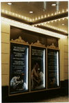 The rainmaker (Nash), Brooks Atkinson Theatre (2000).