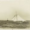 Reliance at finish, 1903, N.Y.Y. [New York Yacht] Club.