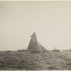 Finish of the Valkyrie, October 9, 1893.