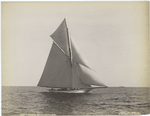 Colonia, September 9, 1893.