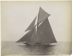 Pilgrim, September 9, 1893.
