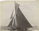 Pilgrim, September 9, 1893.