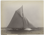 Colonia, September 7, 1893.