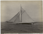 Vigilant, before the start, Octber 13, 1893.