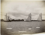 Ambassador, Puritan, Volunteer, Marblehead Harbor.